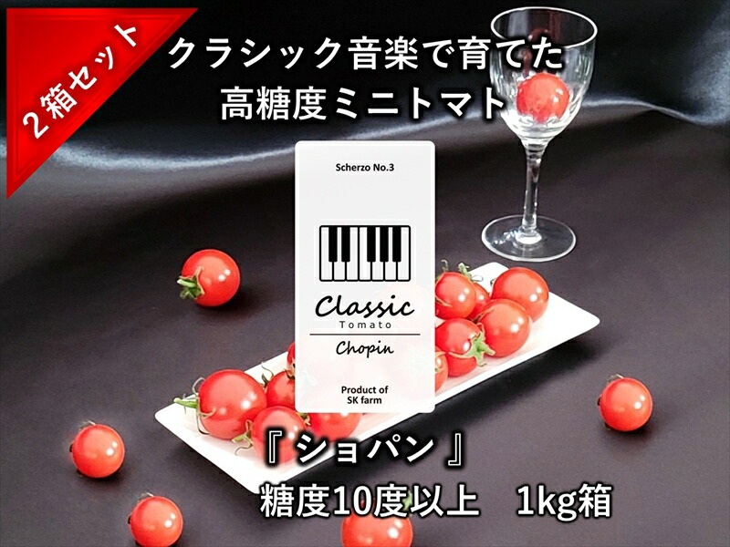 【ふるさと納税】高糖度ミニトマト：クラシックトマト『ショパン』1kg箱 x 2箱＜北海道・沖縄県・離島は発送不可＞【糖度10度以上 『酸味とのバランス』 『口に広がる余韻』 トマト ミニトマト 糖度トマト 甘いトマト 甘いミニトマト 長野県 佐久市 旬彩 】