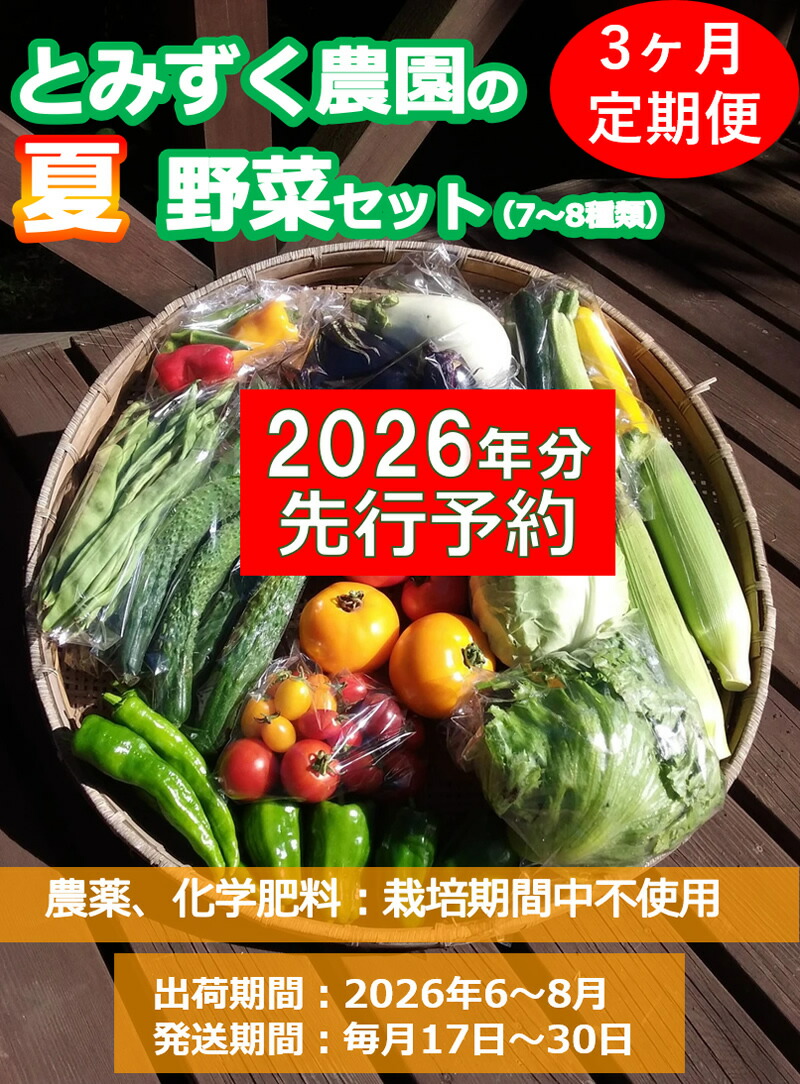 【ふるさと納税】【2026年先行予約・3ヶ月連続定期便】とみずく農園の夏野菜セット (北海道・沖縄県・離島は配送不可) 無農薬 高原野菜 旬 新鮮 詰合せ 〈出荷時期:2026/6/17～2026/8/28出荷終了〉【 産地直送 旬の野菜 有機野菜 有機栽培 長野県 佐久市 旬彩】