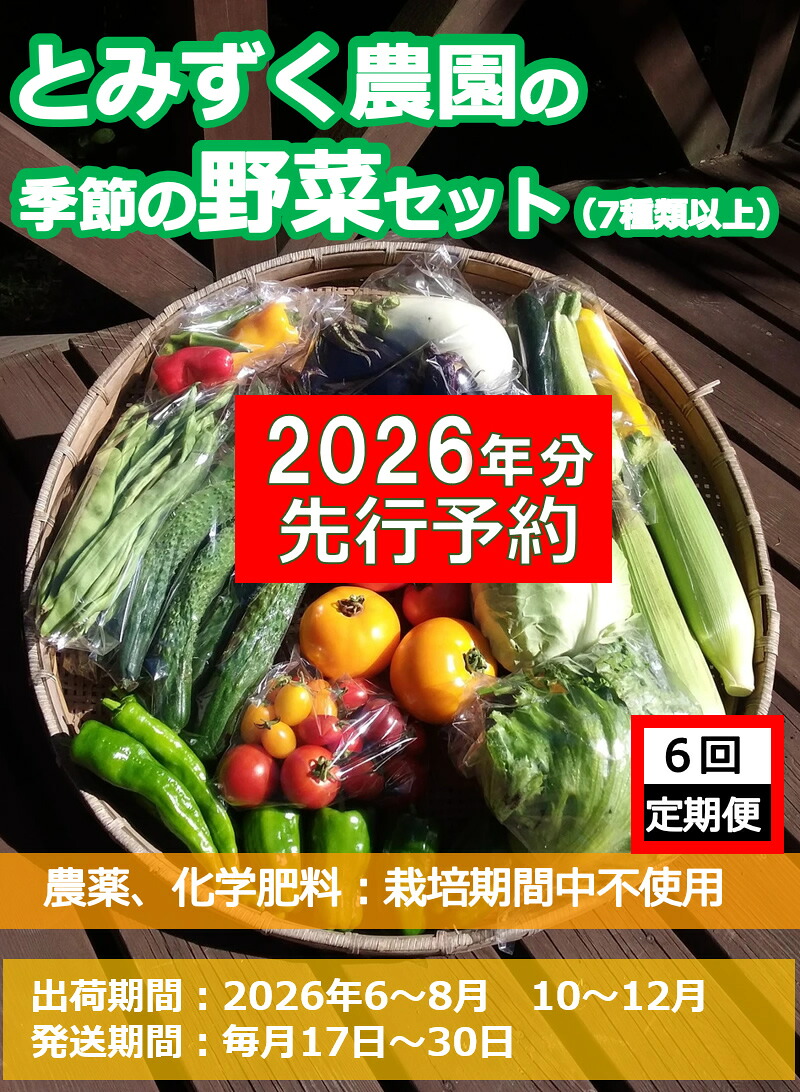 【ふるさと納税】【2027年夏出荷開始・6回定期便】産地直送！旬の高原野菜セット(北海道・沖縄県・離島は配送不可) 長野 信州 無農薬 季節 新鮮 詰合せ 直送 先行予約〈2027年6月17日出荷開始～2027年12月28日出荷終了〉