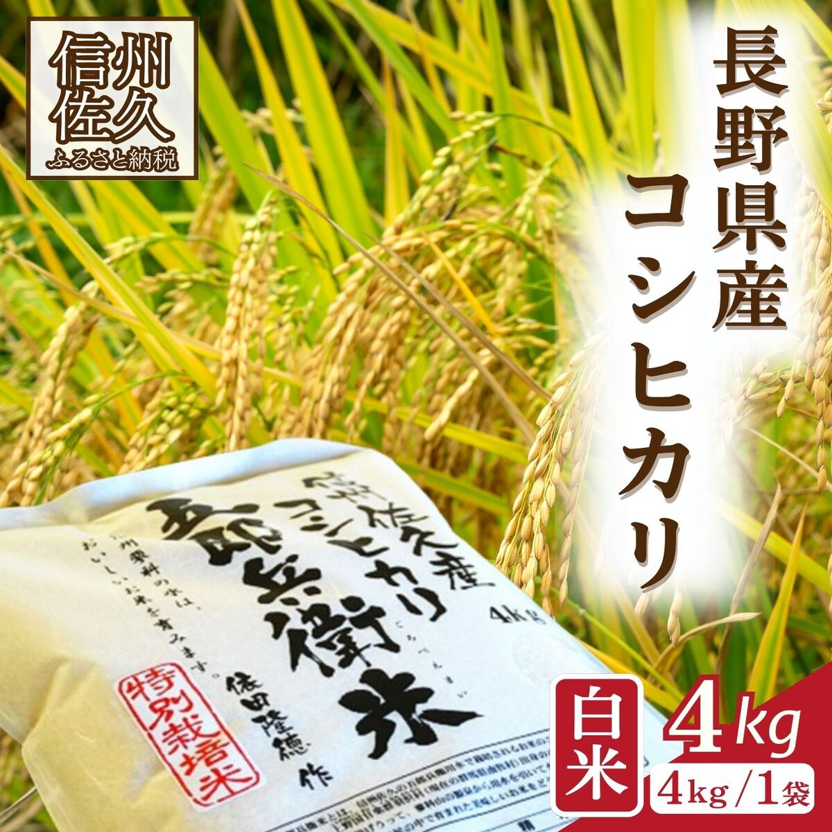 【ふるさと納税】【令和8年産・白米4kg】 特別栽培米　五郎兵衛米 〈2026年9月下旬頃～順次発送〉 先行予約　新米　信州　こしひかり｜長野県佐久市