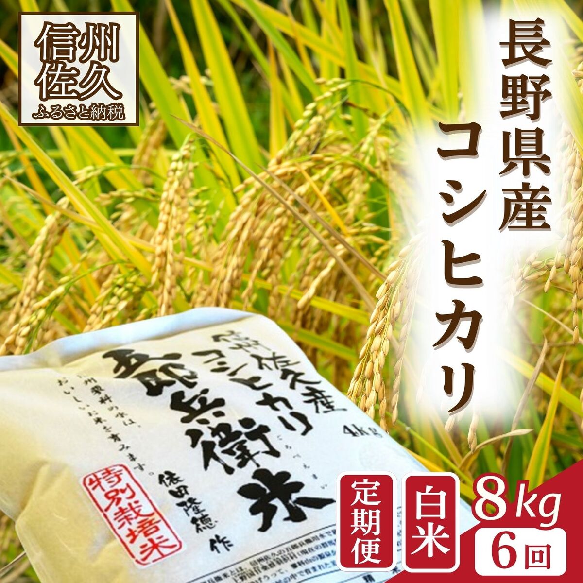 【ふるさと納税】【令和8年産・白米8kg&times;6カ月定期便】特別栽培米　五郎兵衛米 〈2026年9月下旬頃～順次発送〉 先行予約　新米　信州　こしひかり｜長野県佐久市