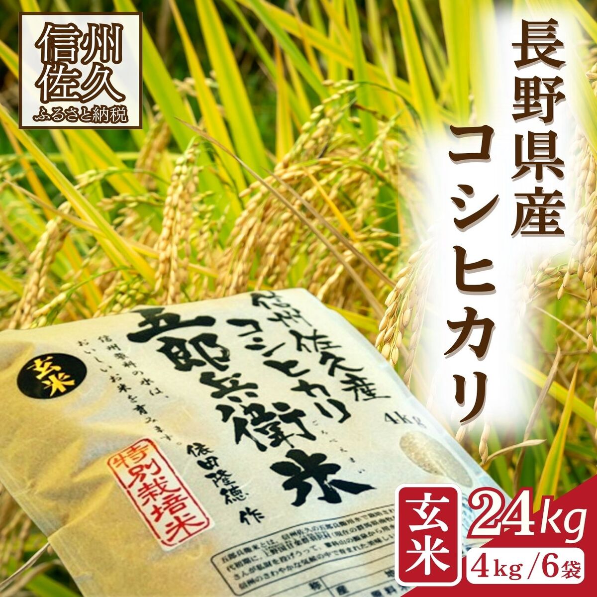 【ふるさと納税】【令和8年産・玄米24kg(4kg×6袋)】特別栽培米 五郎兵衛米 〈2026年9月下旬頃~順次発送〉 先行予約 新米 信州 こしひかり|長野県佐久市