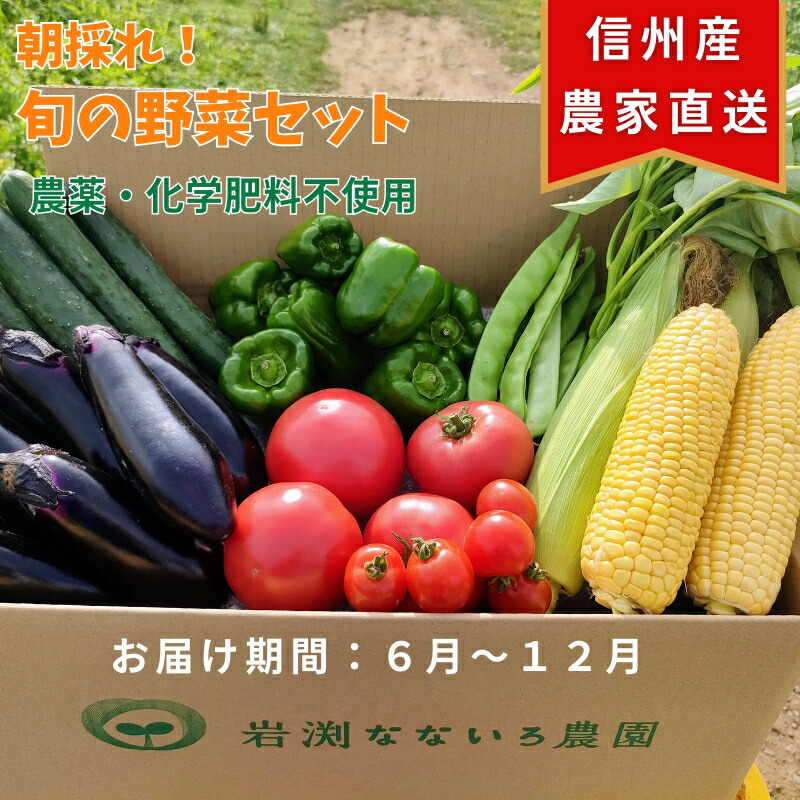 【ふるさと納税】【産地直送・新鮮】朝採れおまかせ旬の高原野菜 7種セット (出荷時期 : 2025年6月～12月／北海道・沖縄県・離島は配送不可) 　|  信州 栽培期間中 無農薬  産直 季節 旬  岩渕なないろ農園 旬彩