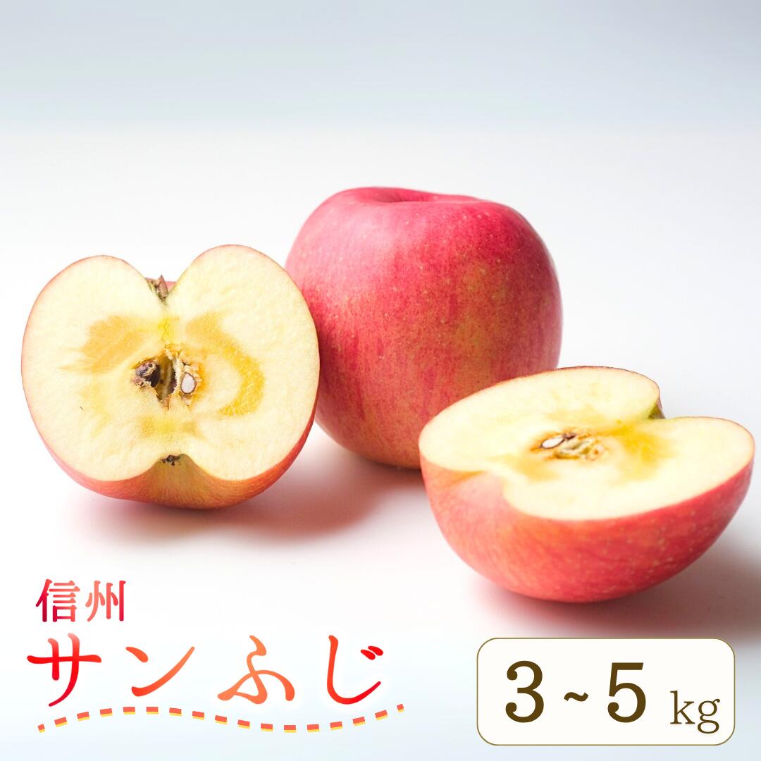 【ふるさと納税】【2026年先行予約】りんご サンふじ 約3~5kg (6~18玉)｜ さんふじ フルーツ 果物 信州りんご 産地直送 千曲市 長野県産 信州｜長野県千曲市