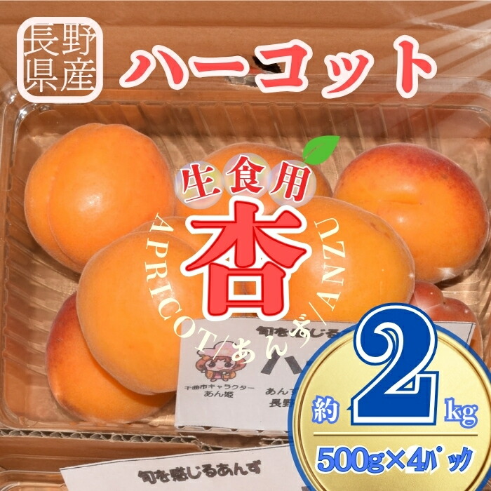 【ふるさと納税】【2026年先行予約】生食用あんずハーコット2kg（約500g×４パック) | 杏子 アプリコット 信州 長野県 千曲市