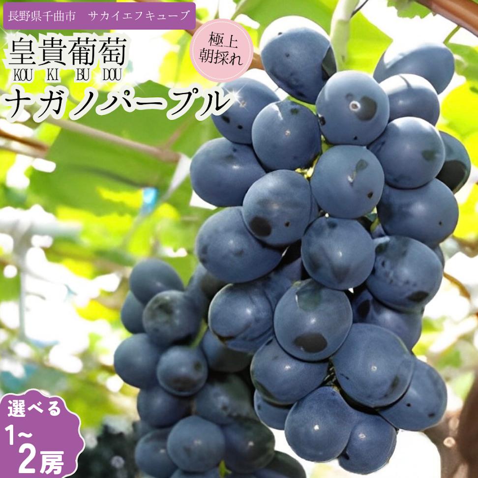 【ふるさと納税】【2025年先行予約】ぶどう ナガノパープル 特秀品 加湿ハウス栽培 1房 2房｜ 葡萄 赤ぶどう フルーツ 果物 千曲市 長野県産 信州