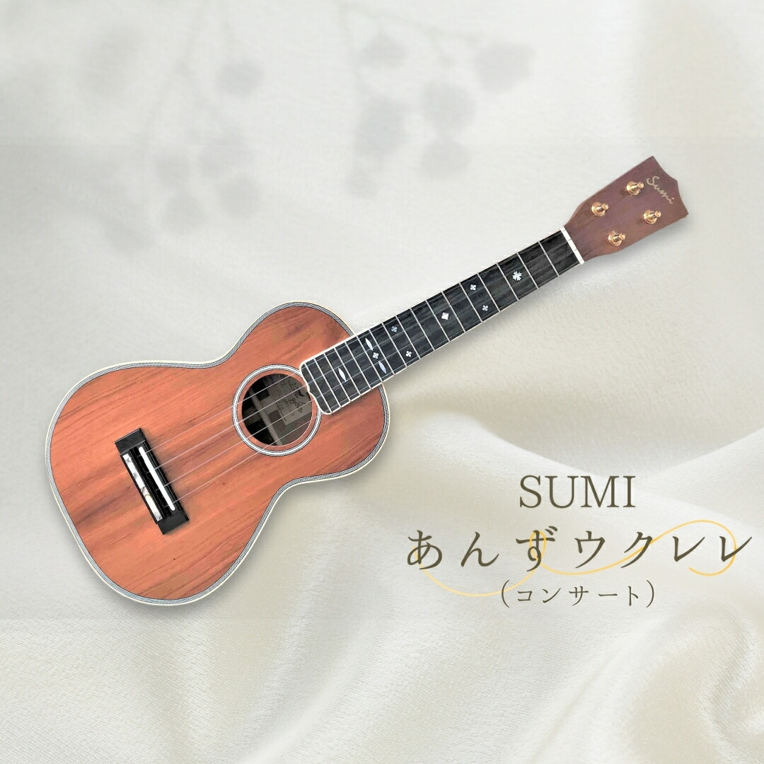 【ふるさと納税】SUMIあんずウクレレ ( コンサート )| 信州 長野 千曲市 送料無料