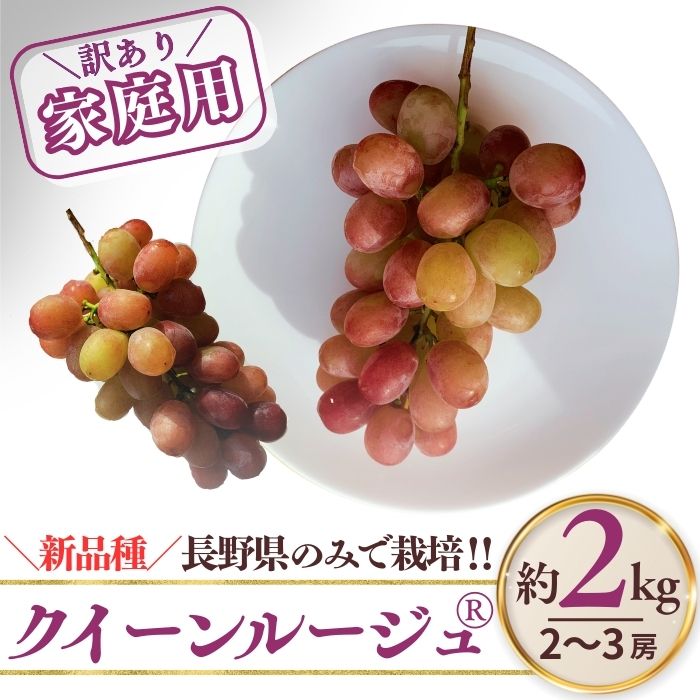 楽天市場】クイーンルージュぶどう 長野県 販売 種なし皮ごとOKの