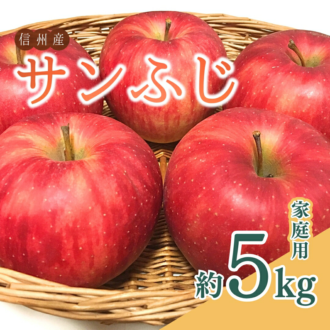 【ふるさと納税】【2026年先行予約】ザ・王道 りんご サンふじ 家庭用 約5kg 訳あり | 信州りんご 長野りんご リンゴ 林檎 さんふじ サンフジ 千曲市 長野県産 信州