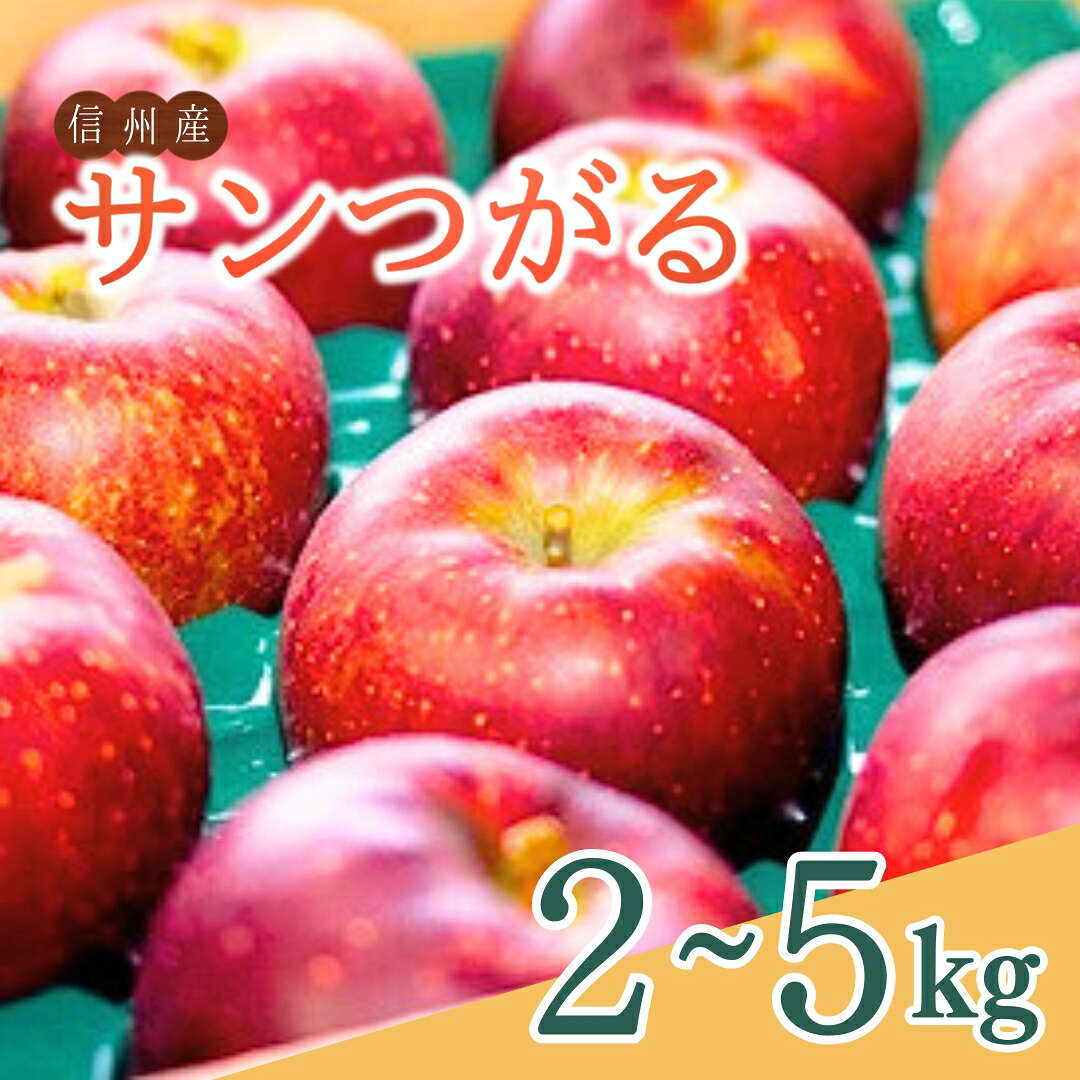 【ふるさと納税】【2026年先行予約】夏のりんご サンつがる 約2kg/約3kg/約5kg | 信州りんご 長野りんご リンゴ 林檎 千曲市 長野県産 信州 7,200円
