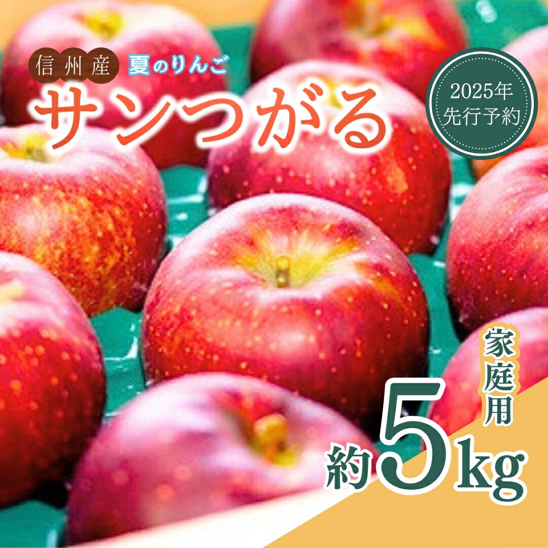 【ふるさと納税】【2025年先行予約】 夏のりんご サンつがる 家庭用 約5kg 訳あり 銀杏ファーム平林  リンゴ 林檎 信州りんご 信州産 長野県産りんご 千曲市 長野県 信州