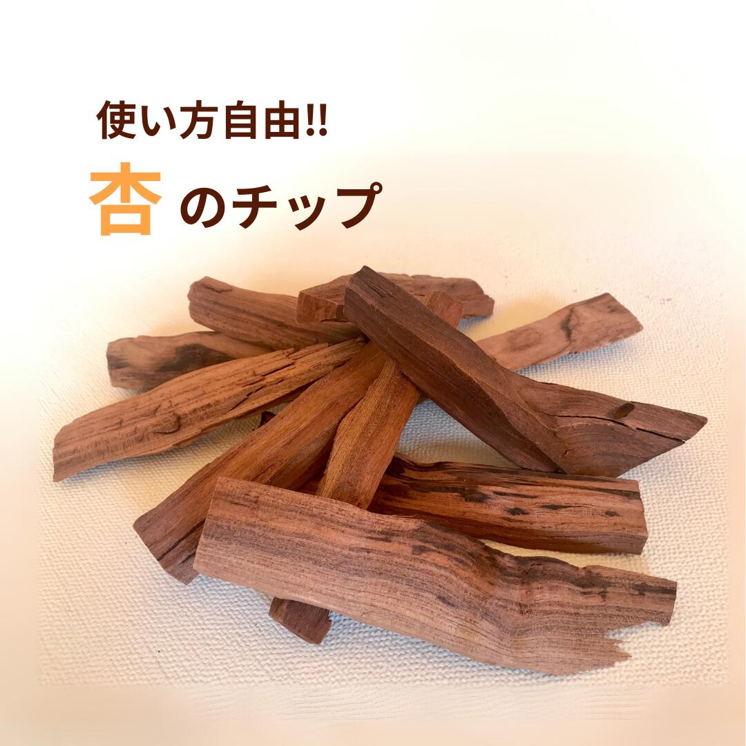 【ふるさと納税】使い方自由 杏のチップ| 信州 長野 千曲市 送料無料|長野県千曲市