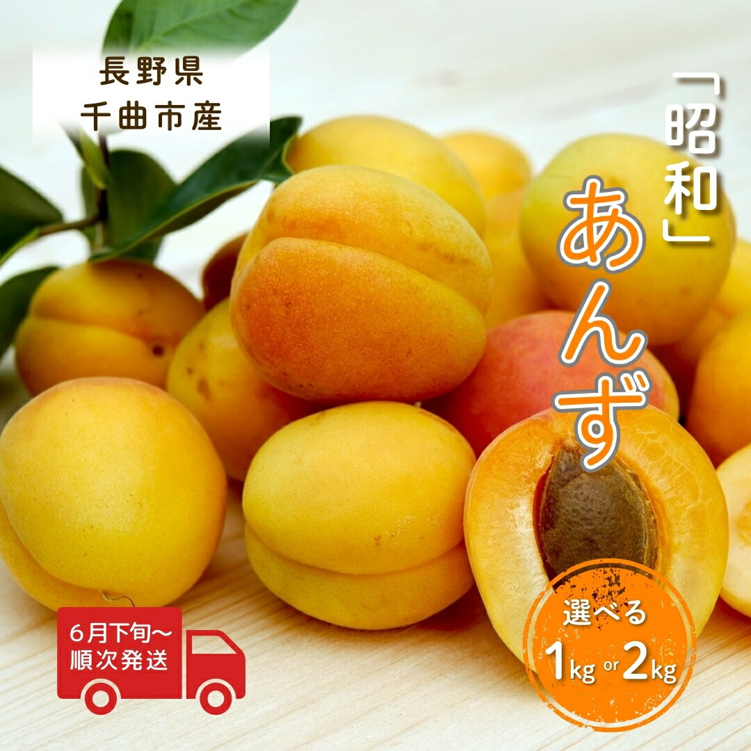 【ふるさと納税】【2025年先行予約】 【6月下旬~発送予定】あんず 選べる 1kg 2kg 「昭和」島田農園  杏 アプリコット 限定 千曲市 長野県 信州