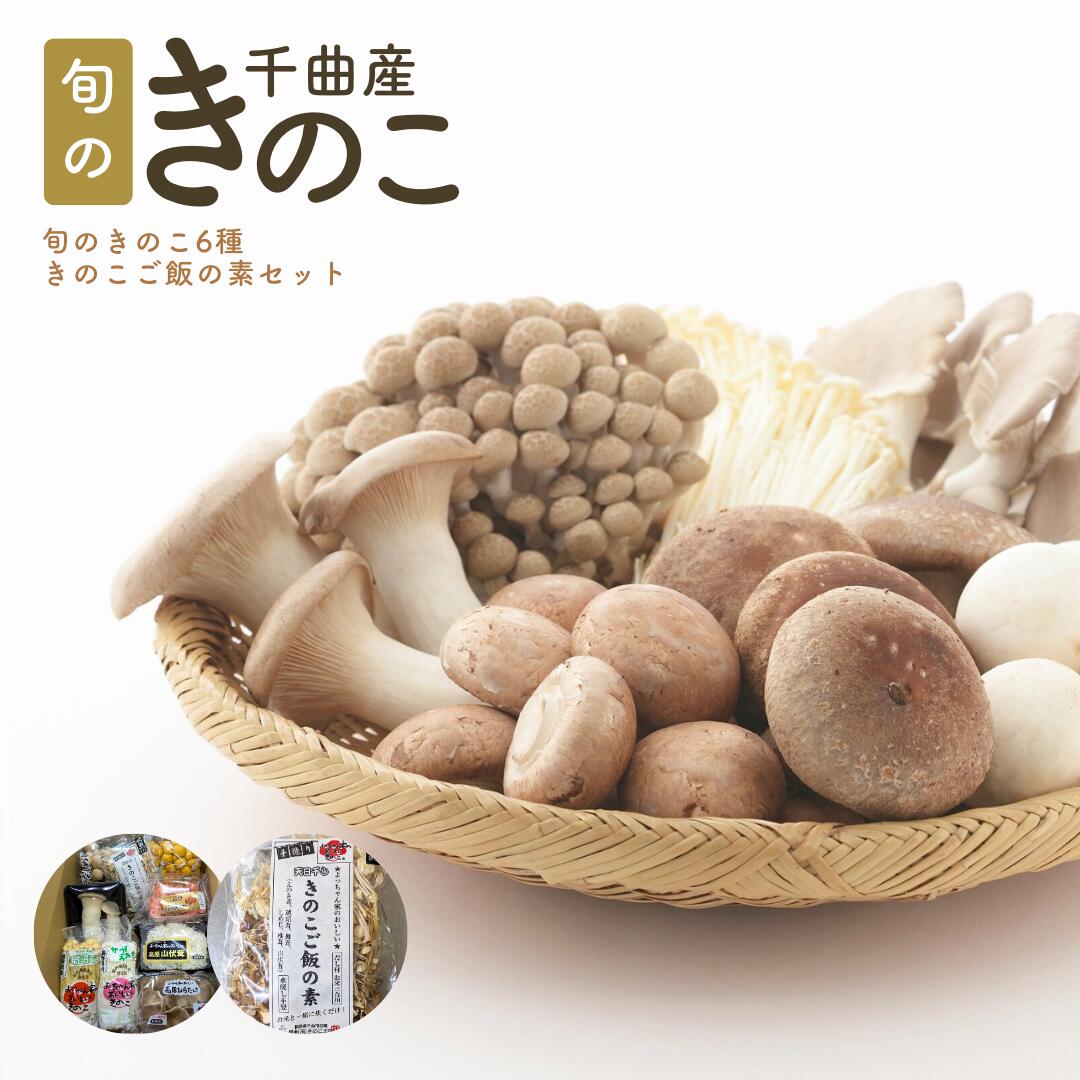 【ふるさと納税】 旬のきのこ6種+きのこご飯の素セット 有機栽培 炊き込みご飯の素 きのこご飯 信州 長野県産 千曲市