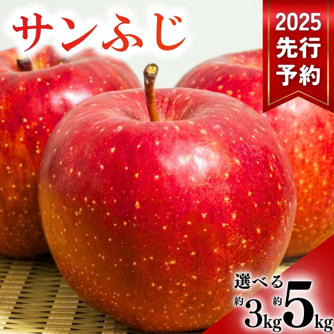 【ふるさと納税】 【2025年先行予約】サンふじ りんご 3kg / 5kg  林檎 信州 長野県産 千曲市