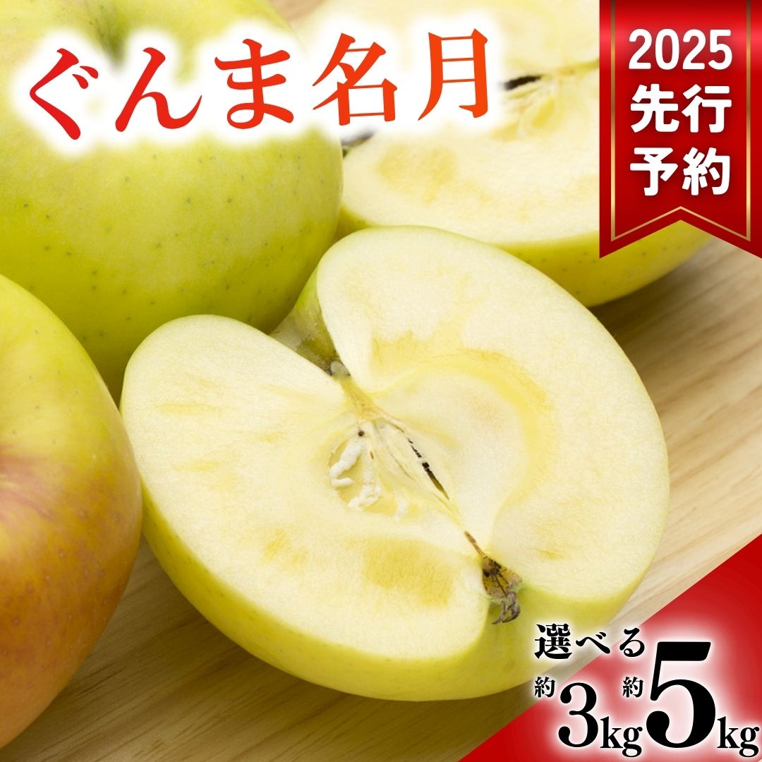 【ふるさと納税】【2025年先行予約】 りんご ぐんま名月 選べる 3kg / 5kg めいげつ フルーツ 特産品 千曲市 長野県
