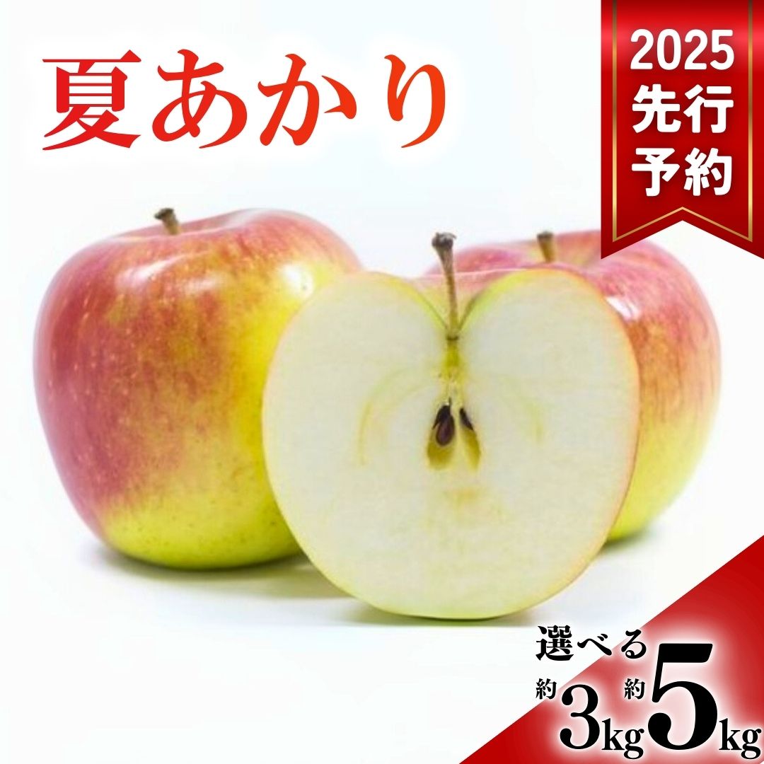 【ふるさと納税】【2025年先行予約】 りんご 夏あかり 選べる 3kg / 5kg 林檎 信州 千曲市 長野県産