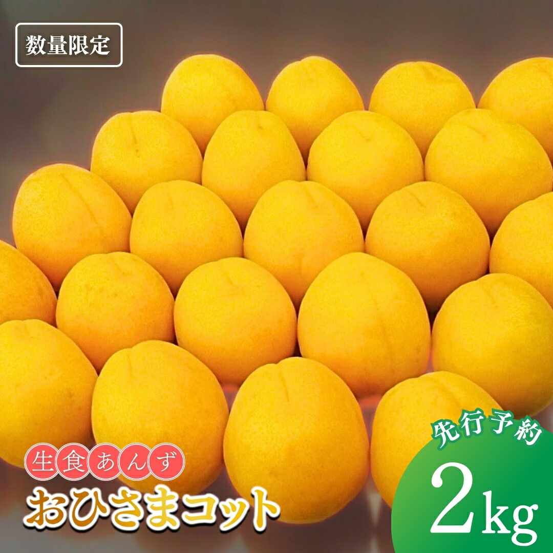 【ふるさと納税】【2025年先行予約】生食用あんず おひさまコット 約2kg  杏子 アプリコット 信州 長野県 千曲市