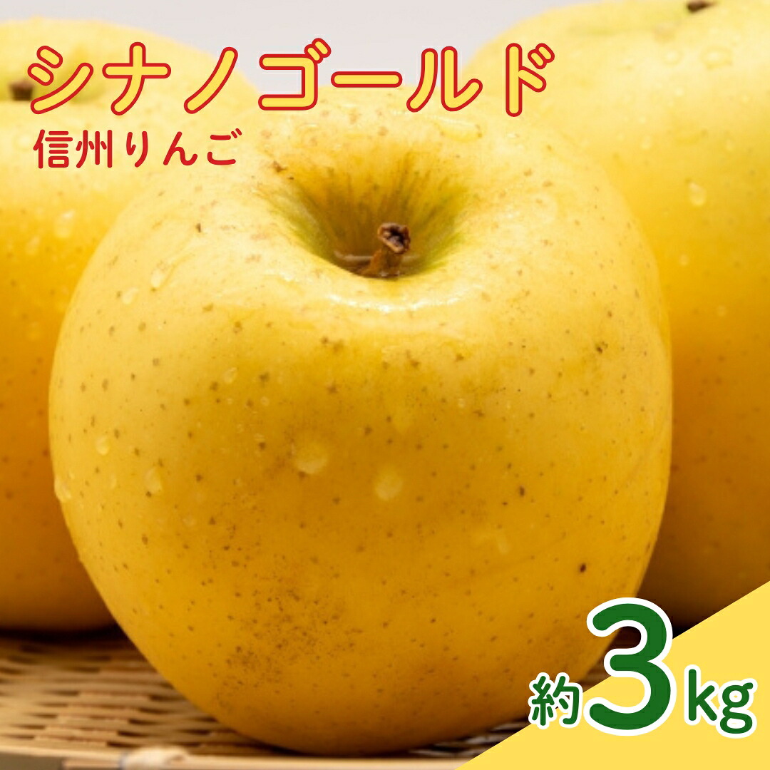 【ふるさと納税】【2026年先行予約】シナノゴールド 約3kg| 林檎 リンゴ アップル 果物 くだもの フルーツ 3キロ お取り寄せ 産地直送 長野県産 信州林檎 信州りんご 信州 長野 千曲市