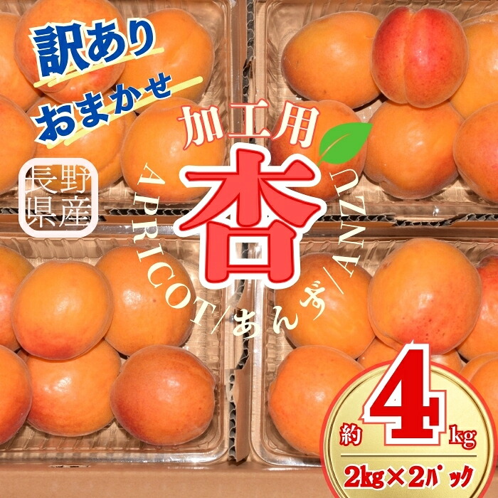 【ふるさと納税】【2026年先行予約】訳あり あんず おまかせ加工用 計約4kg(約2kg×2パック) | 杏子 アプリコット 信州 長野県 千曲市