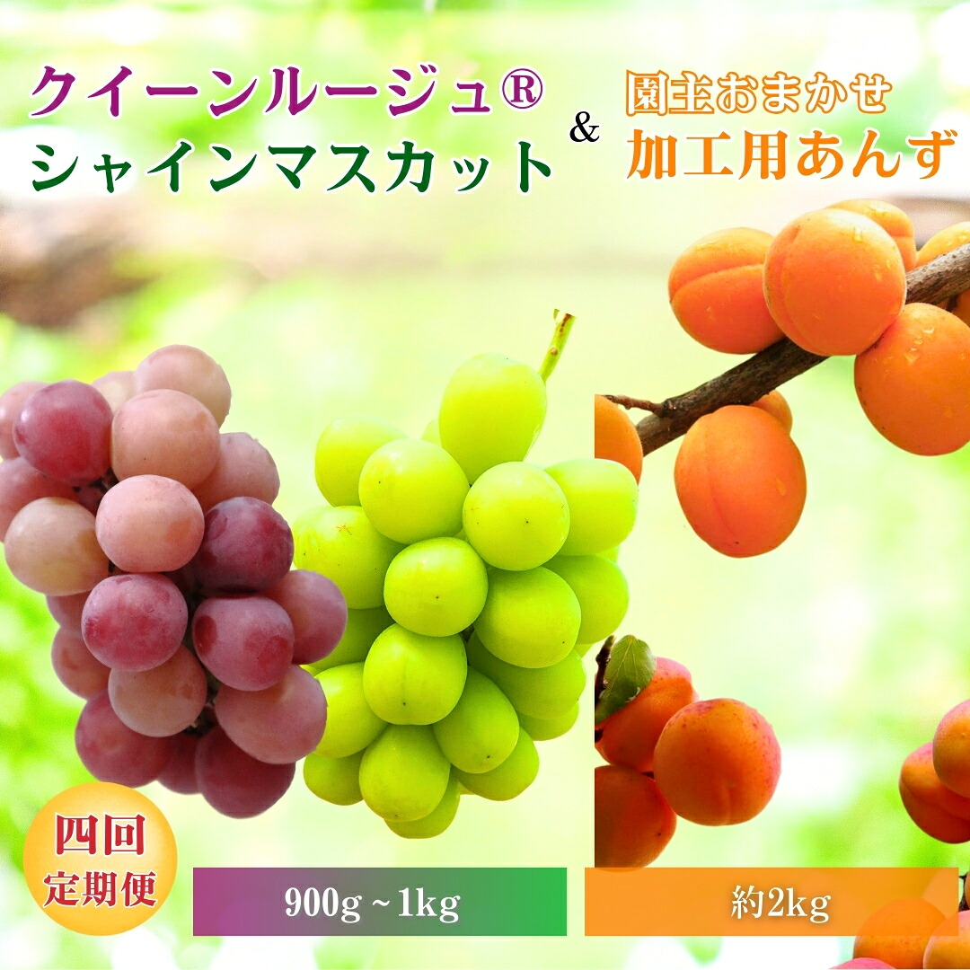 【ふるさと納税】【2026年先行予約】スイートなときめき 加工用あんず＆ぶどう定期便４回｜杏子 アプリコット 加工用 果物 フルーツ 白ぶどう 葡萄 ブドウ 種無し 種なし 皮ごと 千曲市 長野県 信州
