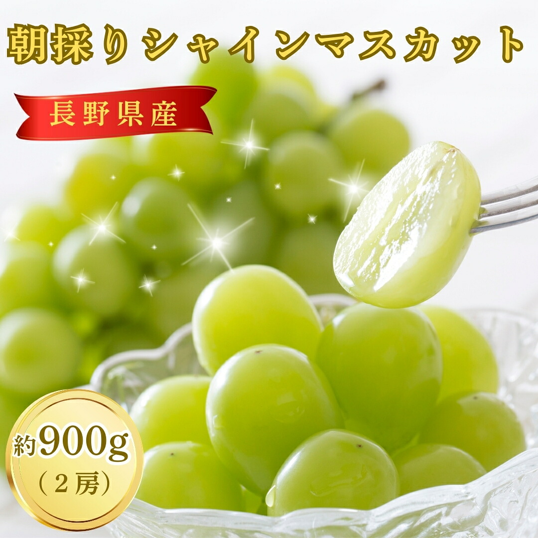 【ふるさと納税】【2026年先行予約】朝採り シャインマスカット 約900g 2房 | ぶどう 葡萄 白ぶどう 種無し 種なし 皮ごと 千曲市 長野県産 信州｜長野県千曲市 13,000円
