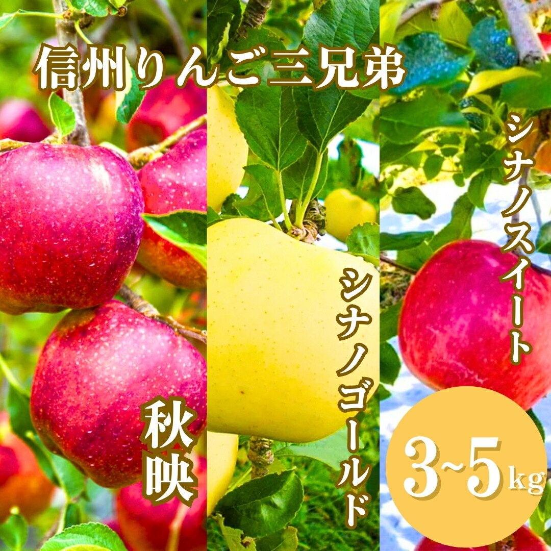 【ふるさと納税】【2026年先行予約】りんご３種詰め合わせ りんご三兄弟（秋映・シナノスイート・シナノゴールド）計約3kg/約5kg | 林檎 あきばえ 食べ比べ セット 千曲市 長野県産 信州｜長野県千曲市