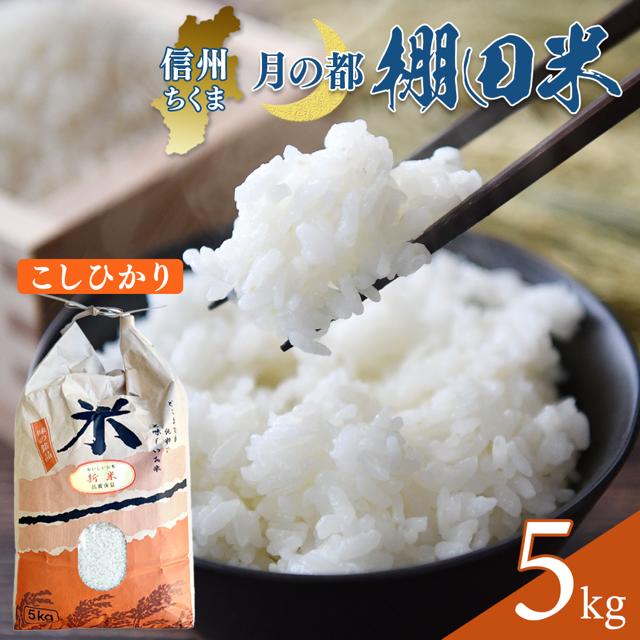 【ふるさと納税】【2026年先行予約】棚田米 こしひかり 白米 5kg/10kg 令和8年産｜コシヒカリ 千曲市 長野県 信州 16,500円