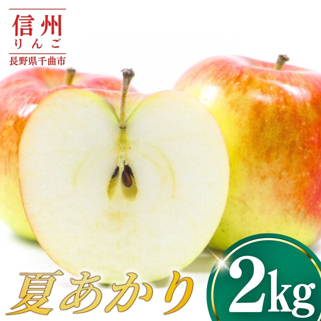 【ふるさと納税】【2026年先行予約】りんご 夏あかり2kg | りんご 林檎 リンゴ 信州りんご 長野県 千曲市