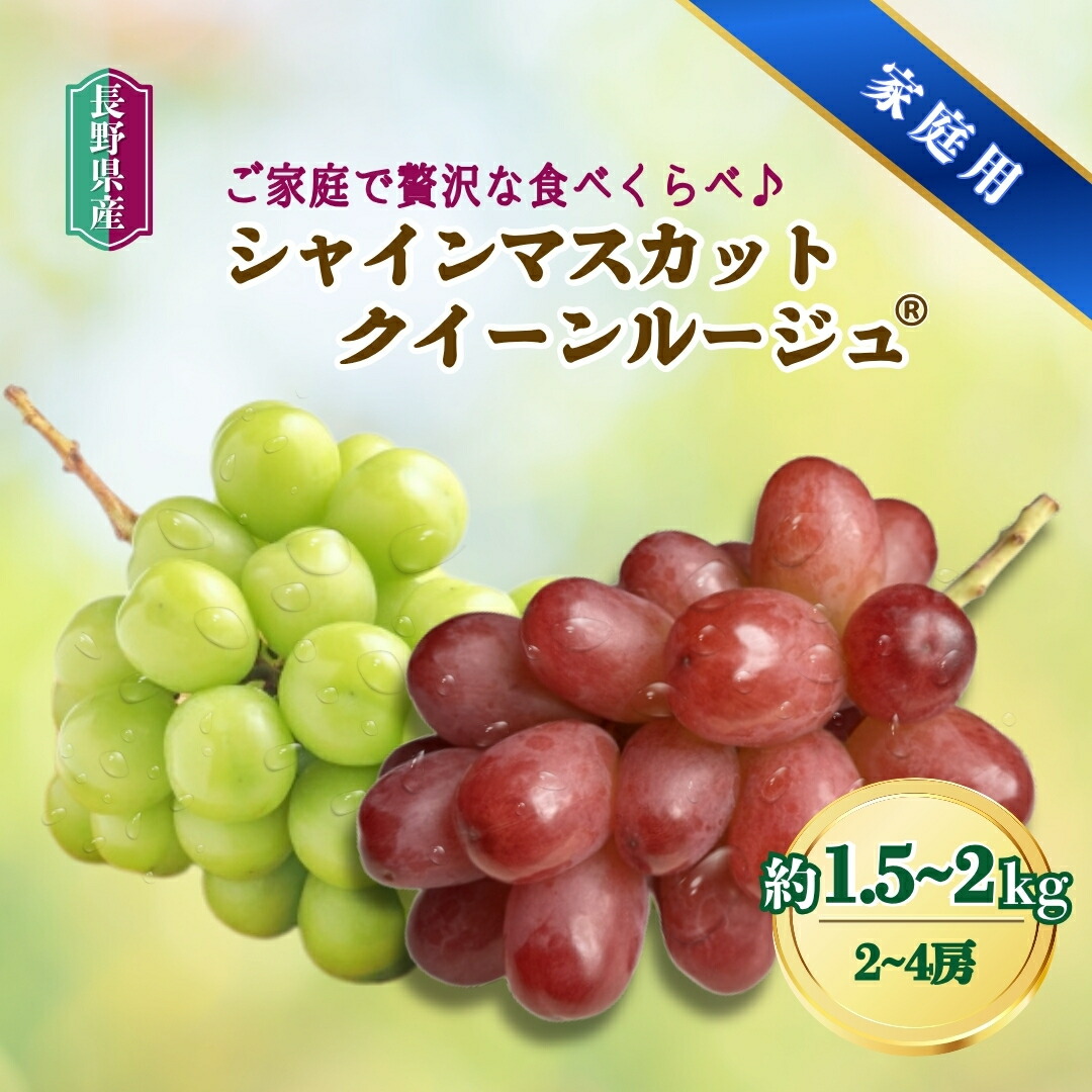 【ふるさと納税】【2026年先行予約】家庭用 シャインマスカット＆クイーンルージュ&reg; 約1.5kg / 約2kg｜ 果物 フルーツ 白ぶどう 赤ぶどう 葡萄 ブドウ 種無し 種なし 皮ごと 千曲市 長野県 信州｜長野県千曲市