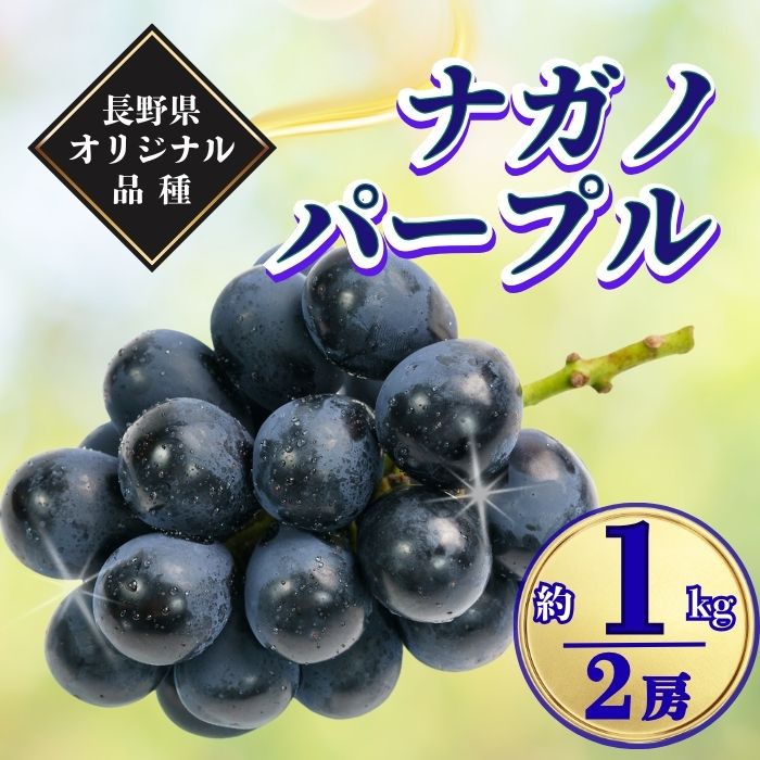 【ふるさと納税】【2026年先行予約】ナガノパープル 約1kg｜果物 フルーツ 黒ぶどう 葡萄 ブドウ 種無し 種なし 皮ごと 千曲市 長野県 信州