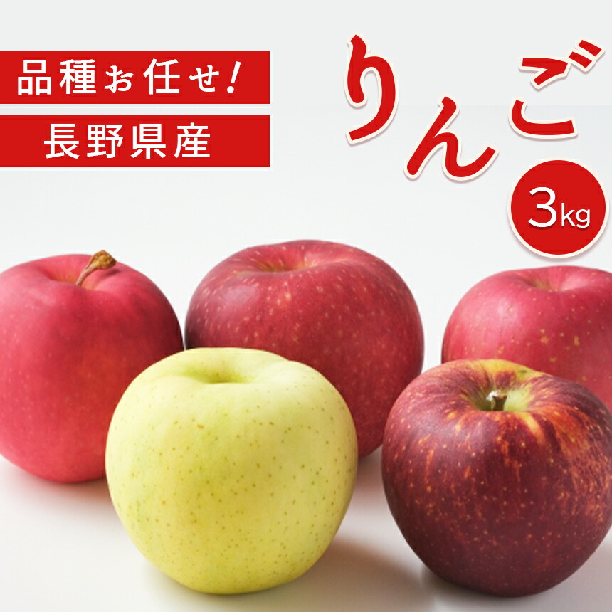 りんご 3kg 品種お任せ 長野県産 先行予約 2022年10月上旬〜順次発送予定 秋映 シナノスイート シナノゴールド サンふじ フルーツ 特産品  千曲市 長野県 【50％OFF】