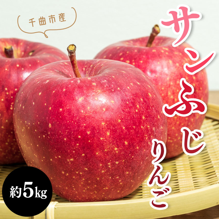 最大74%OFFクーポン りんご サンふじ 約5kg 長野県 千曲市 先行予約 〈2022年10月下旬〜順次発送予定〉 5kg フルーツ 特産品  fucoa.cl