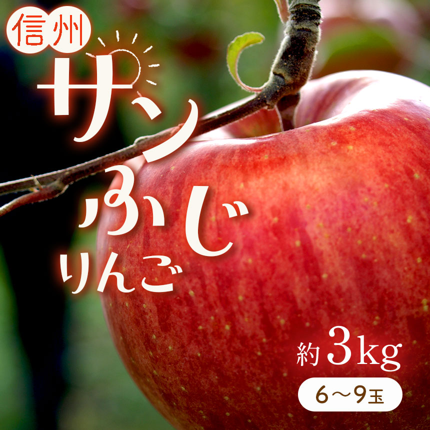 楽天市場 ふるさと納税 訳あり 信州の旬リンゴ サンふじ 長野県産 約10kg りんご サンふじ 10kg フルーツ 特産品 千曲市 長野県 長野県千曲市