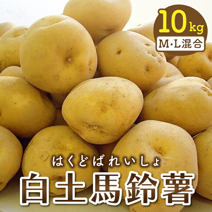 【ふるさと納税】【先行受付2026年発送】東御市産白土馬鈴薯約10kg ※2026年8～12月お届け