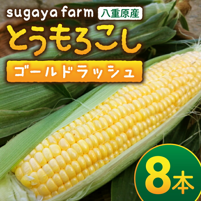 【ふるさと納税】【sugaya farm】とうもろこし（ゴールドラッシュ）８本セット
