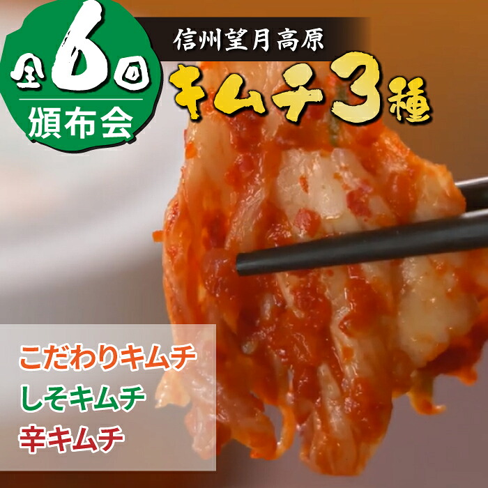 【ふるさと納税】信州望月高原のキムチ３種頒布会（６回コース）