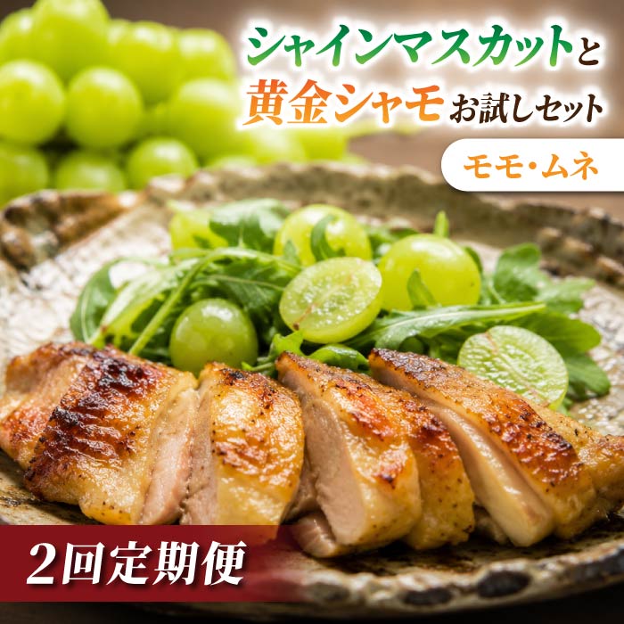 【ふるさと納税】【2回定期便】とうみの名産定期便(シャインマスカット2房 1.1kg以上/信州黄金シャモ ムネ・モモセット700g)|【JA信州うえだ/とや原ファーム】ぶどう 葡萄 大粒 果物 フルーツ シャモ 鶏肉 頒布会 長野|長野県東御市