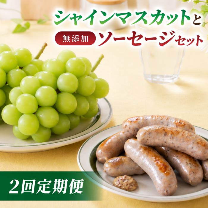 【ふるさと納税】【2回定期便】高評価！シャインマスカットと無添加ソーセージセットの定期便（シャインマスカット2房・ソーセージ4種8本）｜【JA信州うえだ／自家製ソーセージハム男】ぶどう 葡萄 大粒 果物 フルーツ 頒布会 長野｜長野県東御市