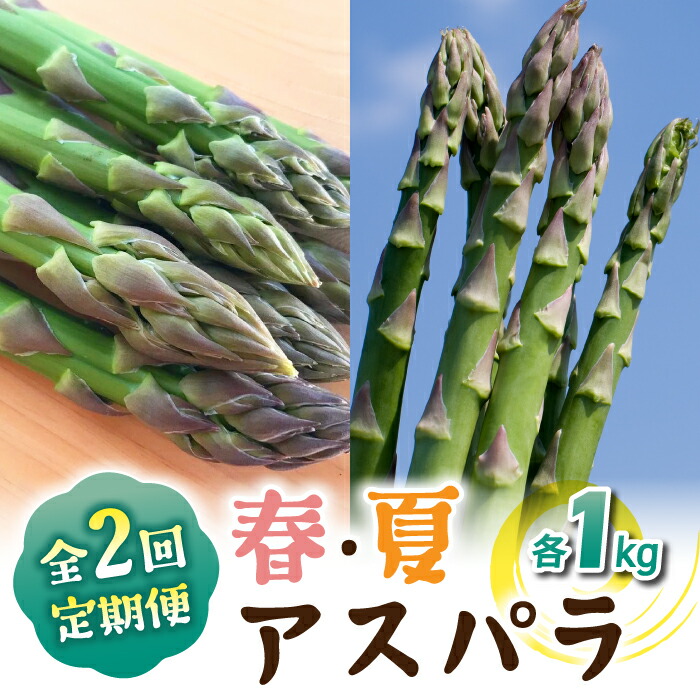 【ふるさと納税】先行予約2026年発送【2回定期便】農家直送！新鮮！春獲れ・夏獲れ　太アスパラ各1kg（合計2kg）