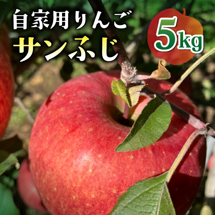 【ふるさと納税】【先行受付2026年発送】農家直送！自家用りんご サンふじ　5kg （約12～18個）｜のららぼ農園 ※2026年11月上旬～11月下旬発送予定