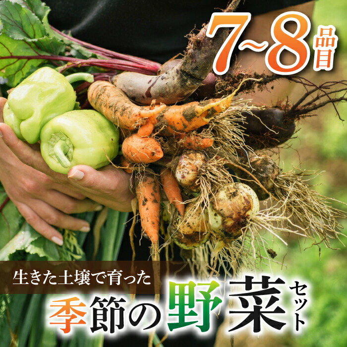 【ふるさと納税】【里山JAPAN】長野県東御市産生きた土壌で育った『季節の野菜セット』（7～8品目）｜2025年７月以降発送