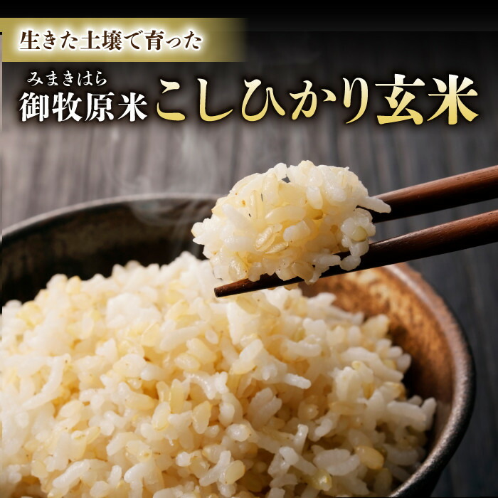 【ふるさと納税】【里山JAPAN】長野県産！生きた土壌で育った御牧原米こしひかり 玄米（令和7年産）｜2025年10月上旬以降に発送予定