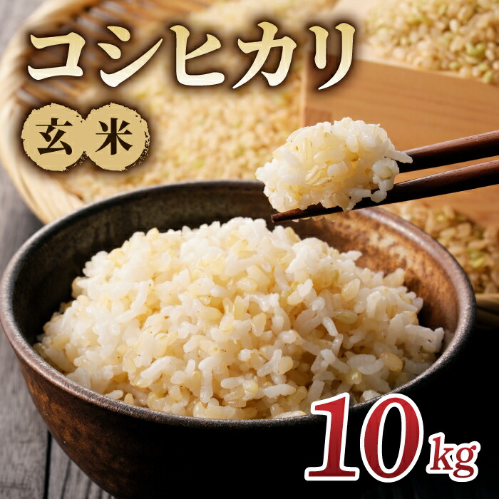 令和６年度千葉県産香取市コシヒカリ新米30キロ玄米 先行予約】千葉県一宮町産コシヒカリ（玄米30kg）令和6年度産米