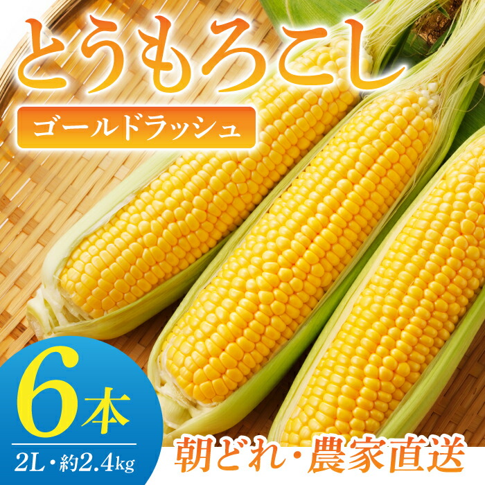 【ふるさと納税】先行予約【小林菜園】農家直送！とうもろこし（ゴールドラッシュ）６本｜2025年8月上旬以降発送予定