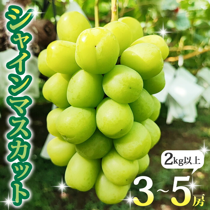 【ふるさと納税】【先行受付2026年発送】長野県東御市産シャインマスカット2kg以上（3～5房）※2026年9月中旬～10月中旬頃発送予定