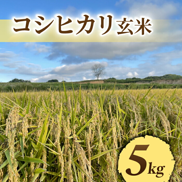 【ふるさと納税】令和7年産新米予約【長野県東御市産】信州特Ａ米コシヒカリ玄米5kg｜※2025年10月より順次発送予定
