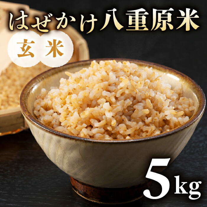 【ふるさと納税】令和7年新米予約！はぜかけ八重原米5kg（5kg×1袋）玄米　※2025年11月上旬以降順次発送｜山陽農園　コシヒカリ 特A良質米