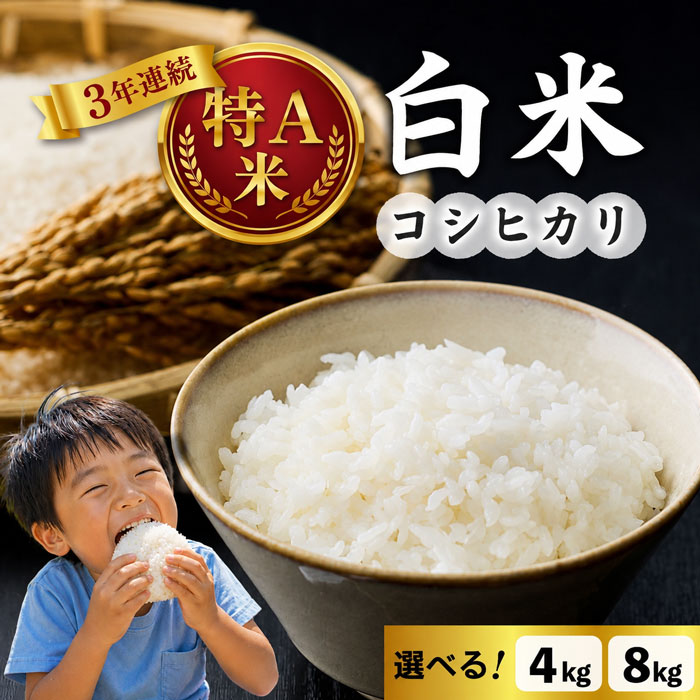 【ふるさと納税】令和7年産白米　特A米【冷めても美味しいコシヒカリ】｜最短4～7日程度でお届け　※着日指定不可【小田農園】｜長野県東御市 15,400円