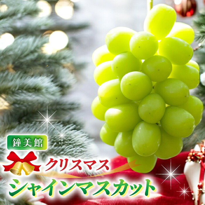 【ふるさと納税】【先行受付2026年発送】標高750mで育ったクリスマスシャインマスカット｜鐘美館　※2026年12月22日発送｜長野県東御市 27,950円
